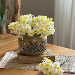 Picture of فاطمه عابدی