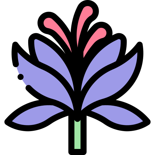 زعفران صادراتی